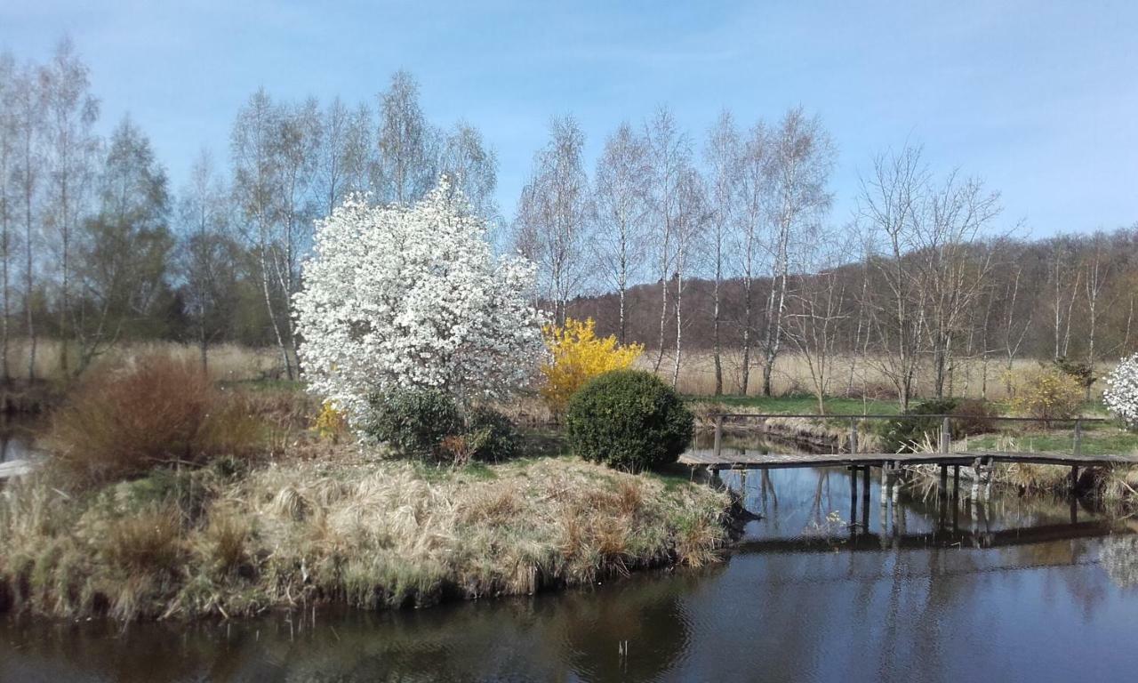 Marka Pokoje Goscinne Mielno  Exteriör bild